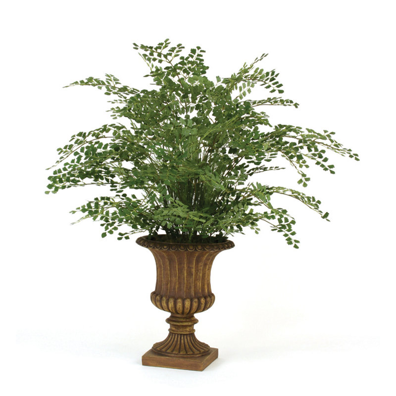 Distinctive Designs Silk Maidenhair Fern Floor Plant in Urn Wayfair